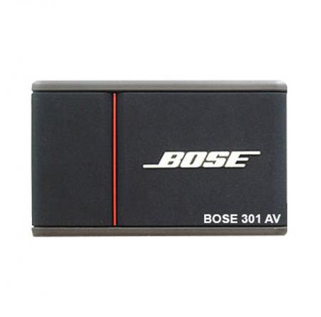 Bose 301 AV Monitor