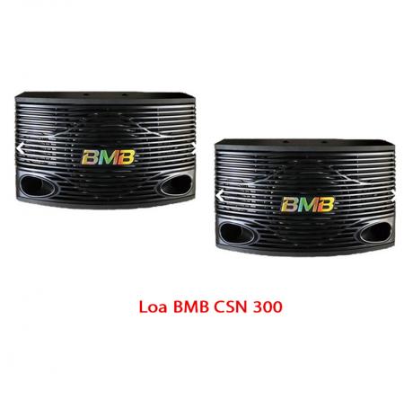 Loa BMB CSN 300SE