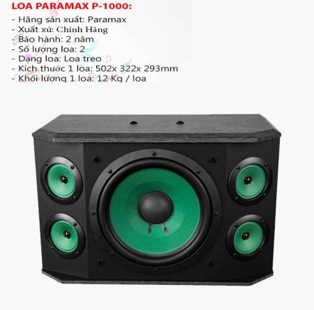 Loa karaoke paramax P-1000