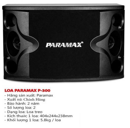 Loa karaoke paramax P-300