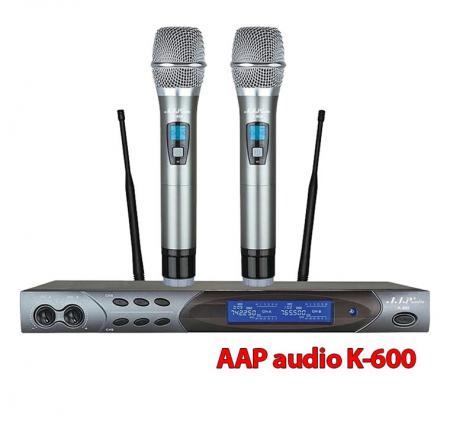 Micro AAP audio K600